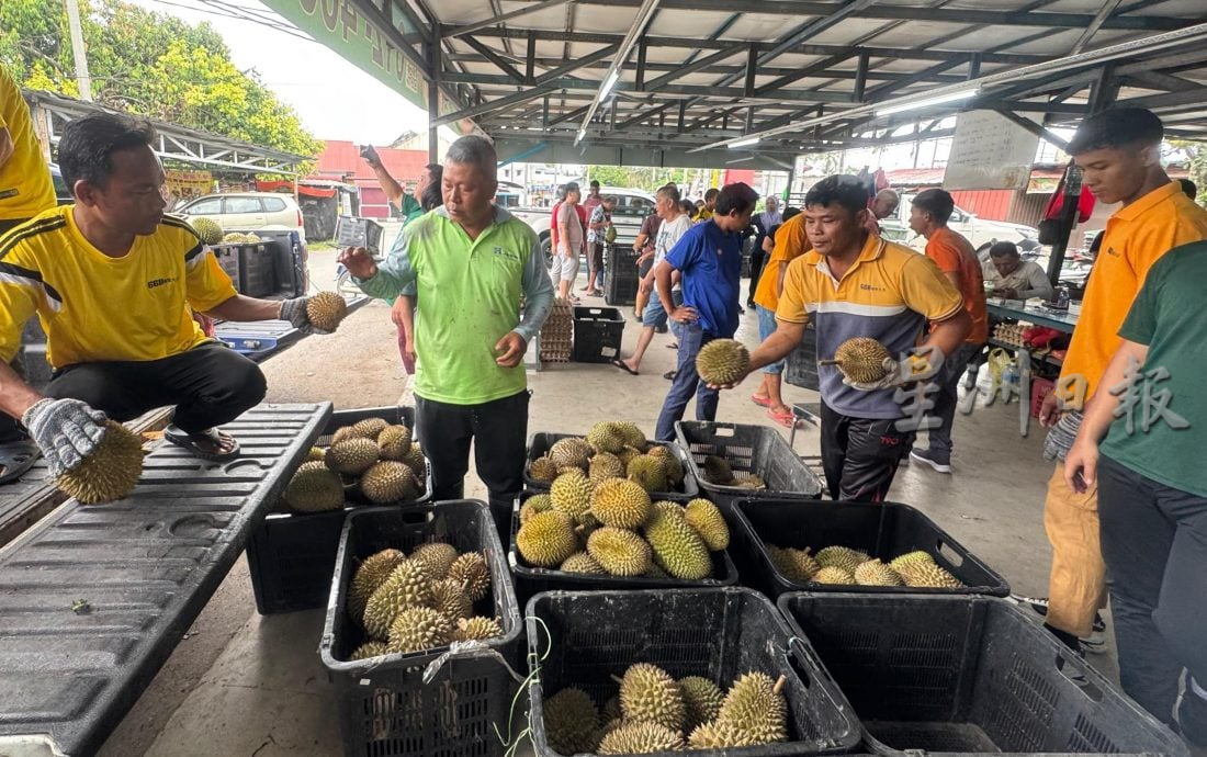 （大北马）买榴梿玩抓鸡蛋游戏