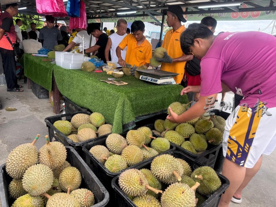 （大北马）买榴梿玩抓鸡蛋游戏