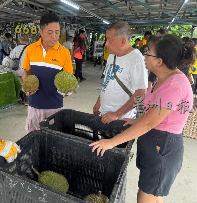 （大北马）买榴梿玩抓鸡蛋游戏