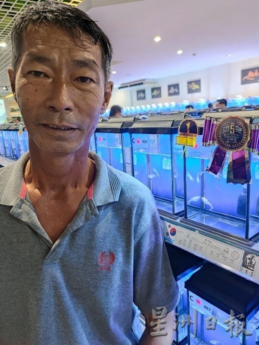 请签发（大北马）周天央杯国际孔雀鱼大赛