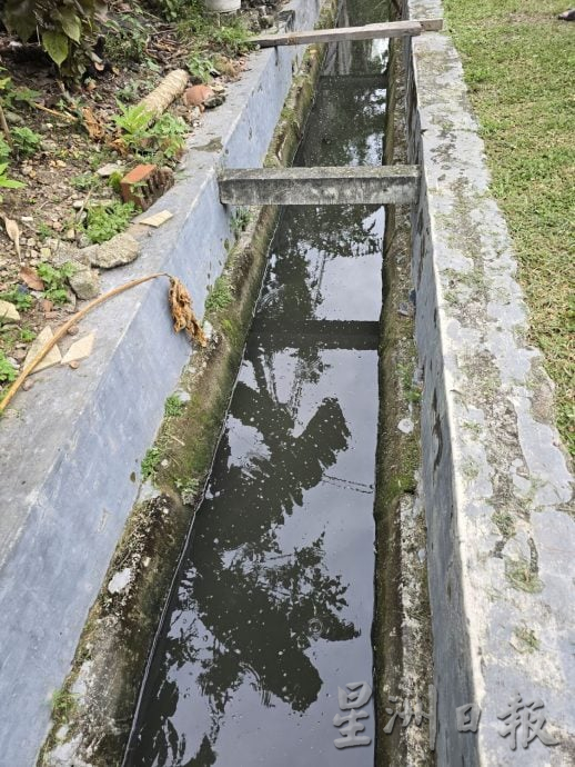 化粪池污水飘臭，沟渠崩塌阻塞蚊养 丹绒米雅乌玛花园居民被臭味及蚊子双面夹攻好苦恼