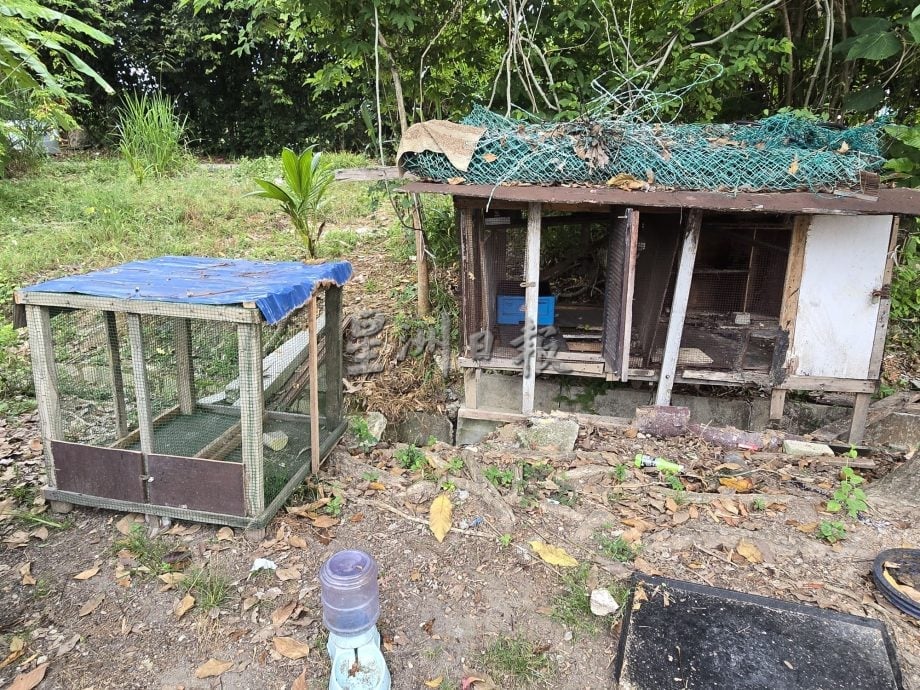 (古城第六版主文)大量酒瓶及垃圾,甚至非搭建凉亭及饲养动物的竂子 丹绒米雅乌达玛花园第9路沦为“垃圾街”