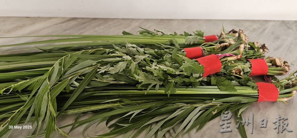 （古城封面副文／签发）端午节挂艾草洒雄黄
