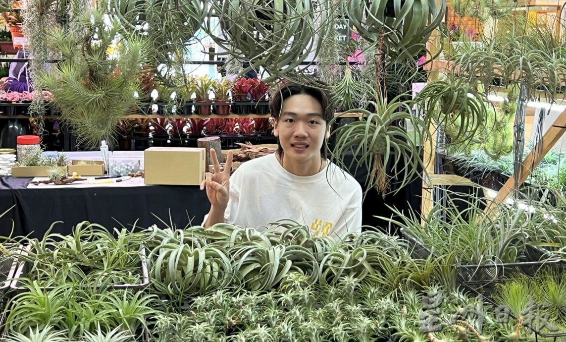(古城第四版主文)经济不景无阻懒人植物受欢迎