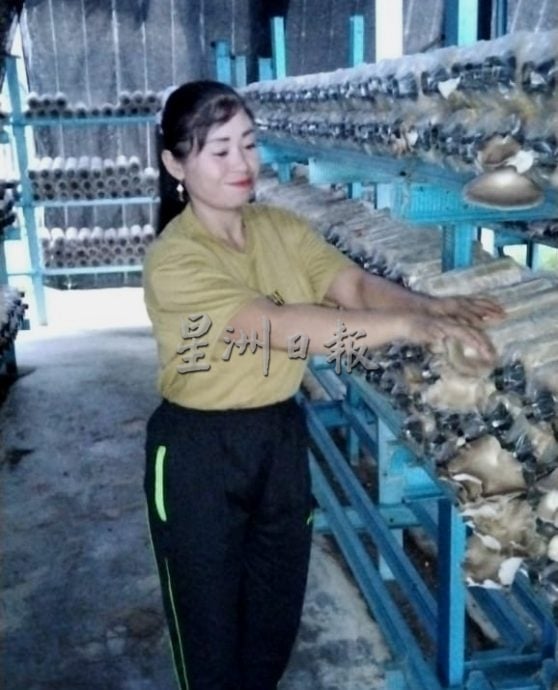 有故事的人：王湋★当年跟风种菇，一切靠自己摸出心得