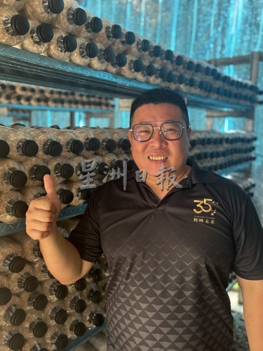 有故事的人：王湋★当年跟风种菇，一切靠自己摸出心得