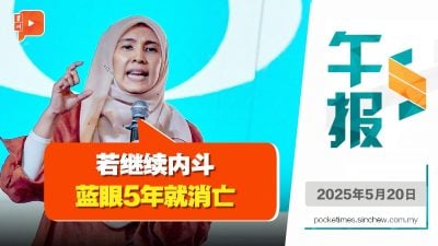争署理主席职 努鲁：别让内斗毁了公正党