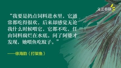 徐海韵/打架鱼