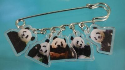 熊猫回家了（四） | 明信片 手机挂绳 挂饰 别针    粉丝手作熊猫“应援品”