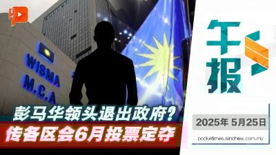 党内消息：彭马华议决 拟6月全国区会投票定夺是否退政