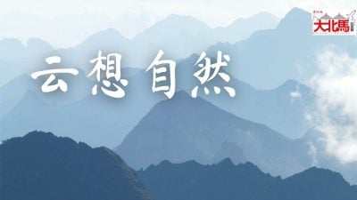 雲想自然 |  黃云云-​多一點想“象”
