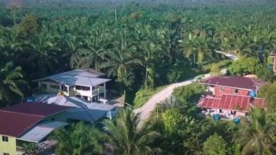 大马首个获认可陆地保护区 宾素普森林列IUCN绿色名录