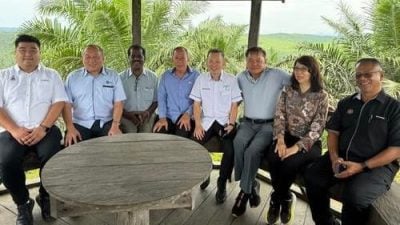 陈泓缣：保障生产竞争力 求助棕油局解决虫害