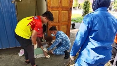 祈祷前在公厕洁净  男被眼镜蛇咬伤