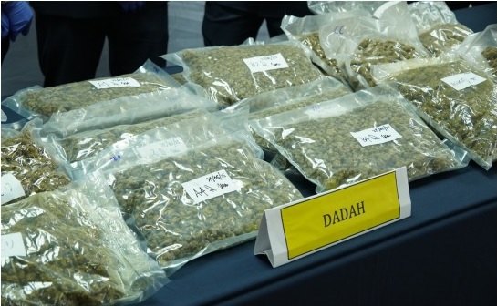 19空运快递包裹藏毒 关税局破556万大麻花走私案