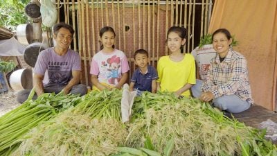 From desperation to empowerment: Climate-smart farming ends migration cycle