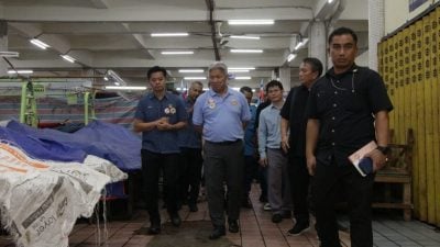 庇市厅大规模灭鼠行动 “收购”老鼠每只RM2