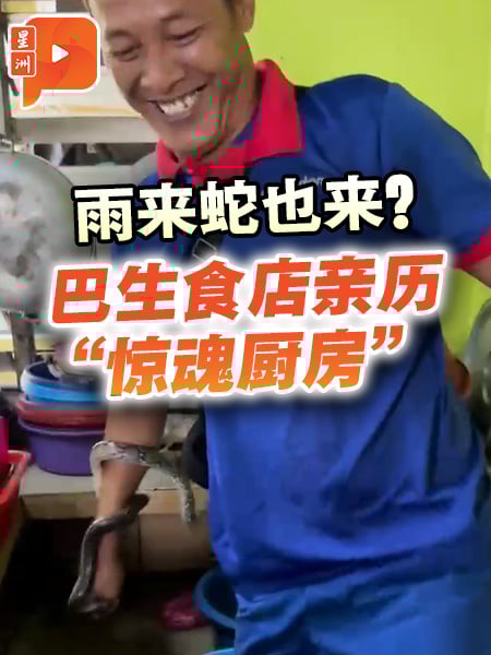 雨来蛇也来？巴生食店亲历“惊魂厨房”