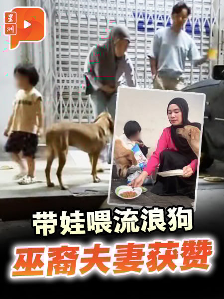 巫裔夫妻带娃喂流浪狗 网赞：好榜样