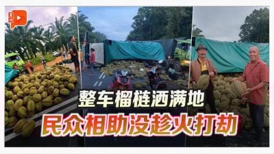 罗里翻覆榴梿洒满地 民众好心施援没趁火打劫