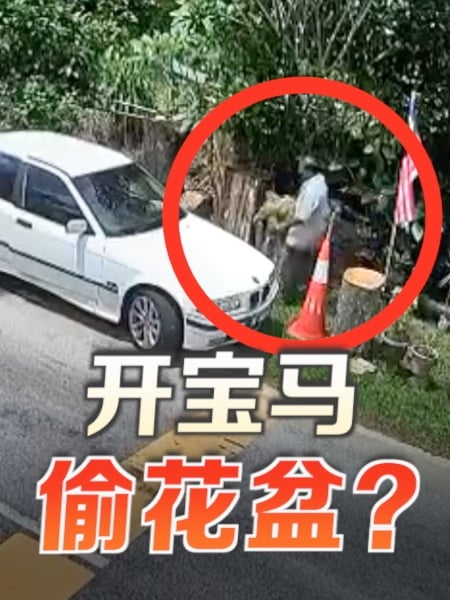 监控拍下宝马司机“搬花盆” 屋主喊话归还