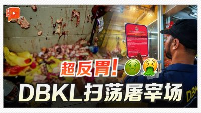 肉堆地上、血流沟渠 14屠宰场违规被勒令关闭