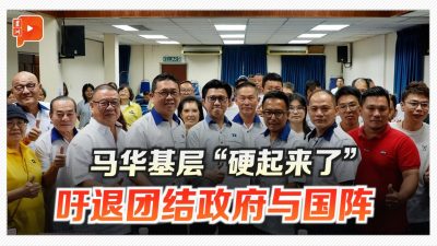 马华基层“硬起来了” 吁退团结政府与国阵