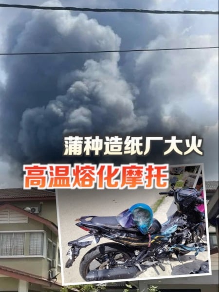蒲种造纸厂突发大火 高温熔化摩托