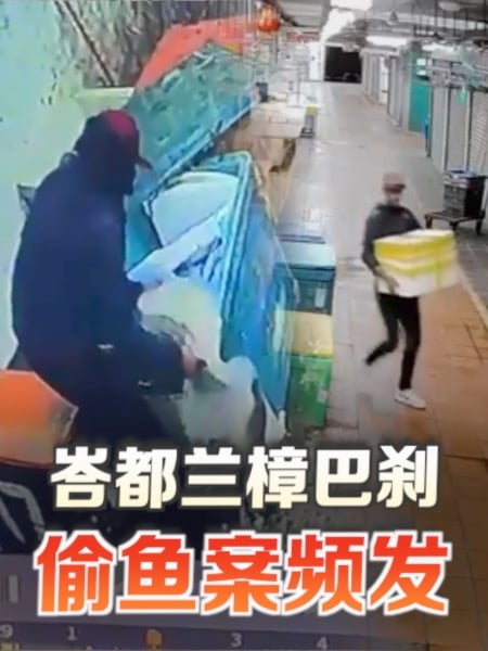 峇都兰樟巴刹偷鱼贼 凌晨干案过程曝光
