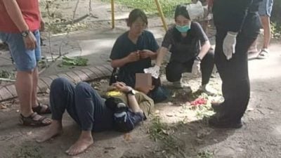 草场闲逛树枝掉落 日本游客头部受伤血流如注