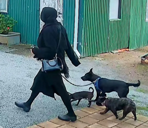 34岁女星“斩首男友”焚尸! 头颅至今未寻获