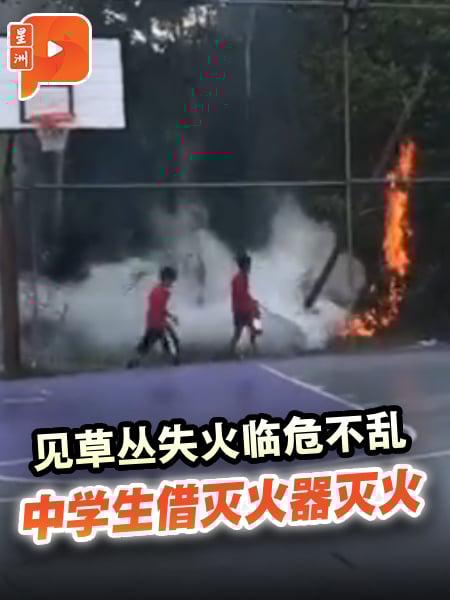 见草丛失火临危不乱 中学生借灭火器灭火