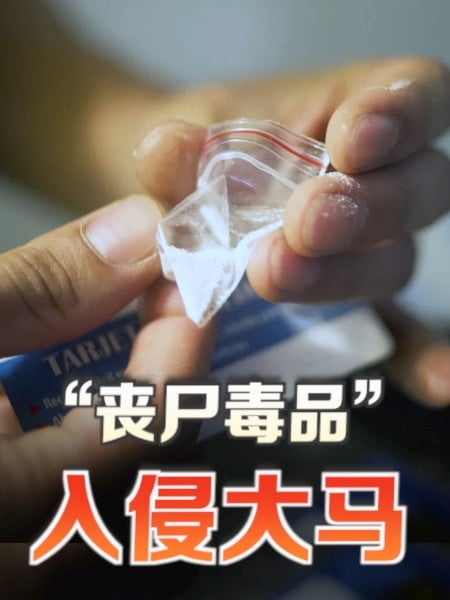 “丧尸毒品”入侵大马 国内两地最严重