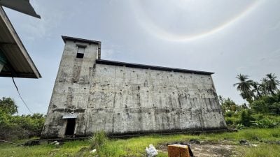 砂燕窝养殖业之困境（系列五）.环境改变 虫少觅食难. 养燕 成夕阳行业