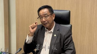 卡林：家庭游客比例上升  雨林音乐节观众略减