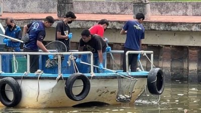 视频 | 甲河死鱼最新进展 30人进行全面清理！