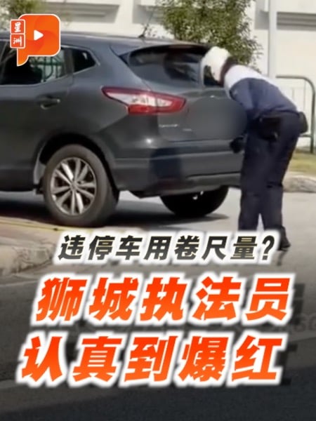 车子疑违停  狮城执法员卷尺量距获赞