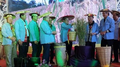 砂达雅节嘉年华开幕．13佳丽争奇斗艳