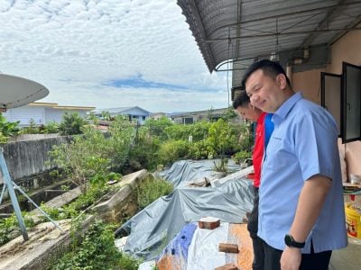 赵俊文：满足受影响者需要 . 重新检视美里灾后跟进