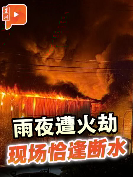 雨夜遭火劫 知知港新村2板店屋狂烧