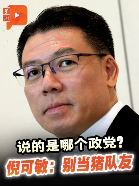 说的是哪个政党？倪可敏：别当猪队友