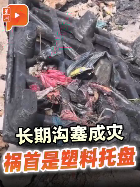 长期沟塞成灾 祸首是塑料托盘