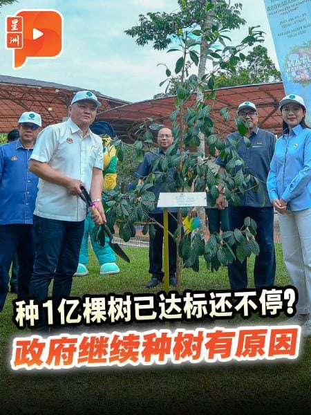 种1亿棵树已达标还不停？政府继续种树有原因