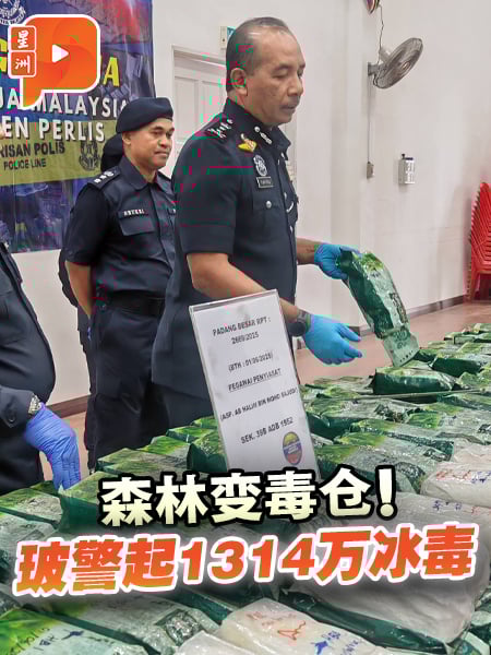 森林变毒仓！玻警起1314万冰毒