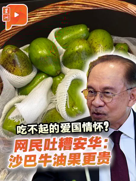 安华鼓励吃沙巴牛油果　网民批：贵又难买！