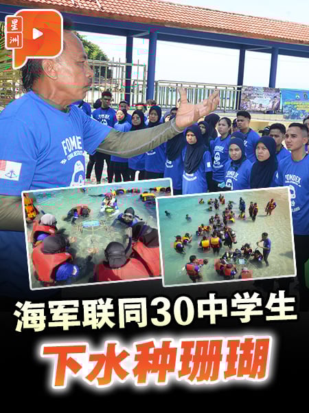 海军联同30中学生 下水种珊瑚