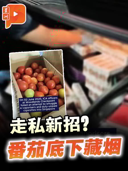 走私新招？番茄底下藏烟