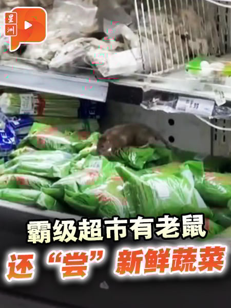 霸级超市有老鼠 尝新鲜蔬菜