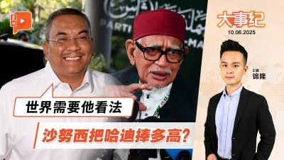 哈迪没辞党主席了 沙努西：世界需要他看法