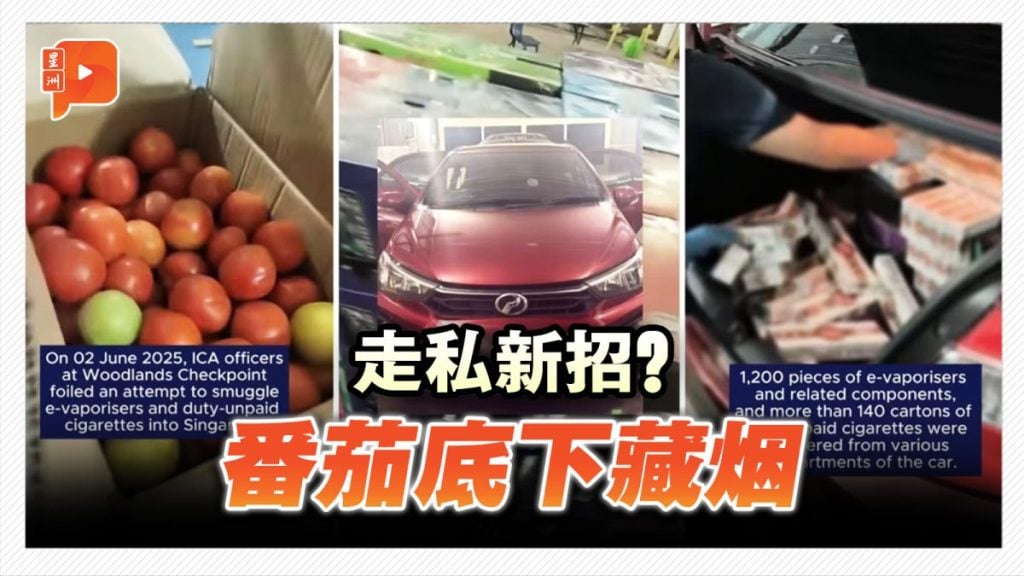 走私新招？番茄底下藏烟